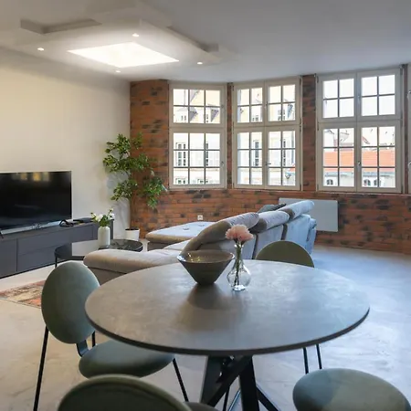 Grand Loft Industriel Avec Vue Cathedrale Centre Apartment *