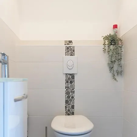 Grand Loft Industriel Avec Vue Cathedrale Centre Metz