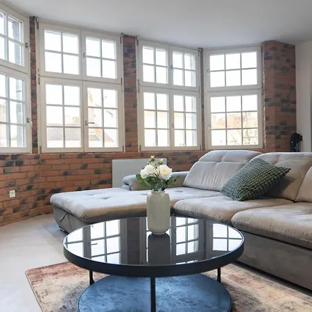 Grand Loft Industriel Avec Vue Cathedrale Centre Apartment Metz