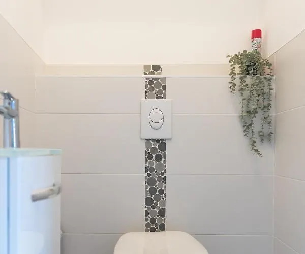 Grand Loft Industriel Avec Vue Cathedrale Centre Metz